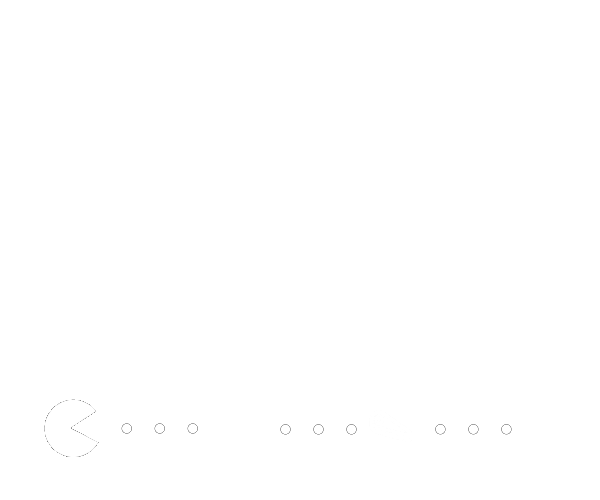Level 256 hero logo